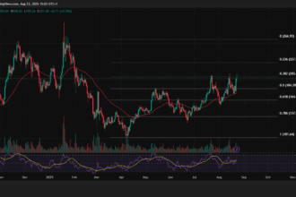 1kFhgZiAB98mcNwTuBgFi5HrpzuL1uPa 330x220