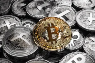 3d745e336c1043f09aeede320c756202