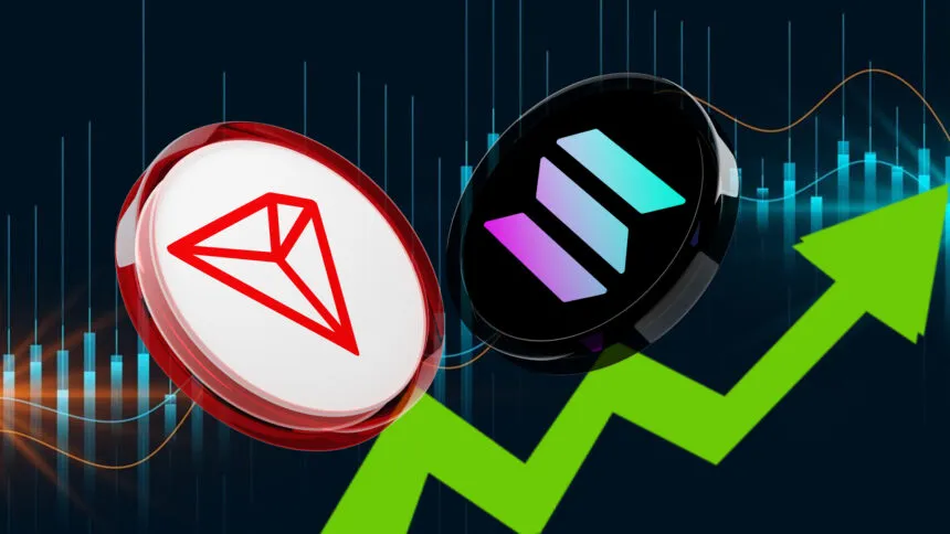 554aa238 D0e9 440e B9f4 Cc22a7782927