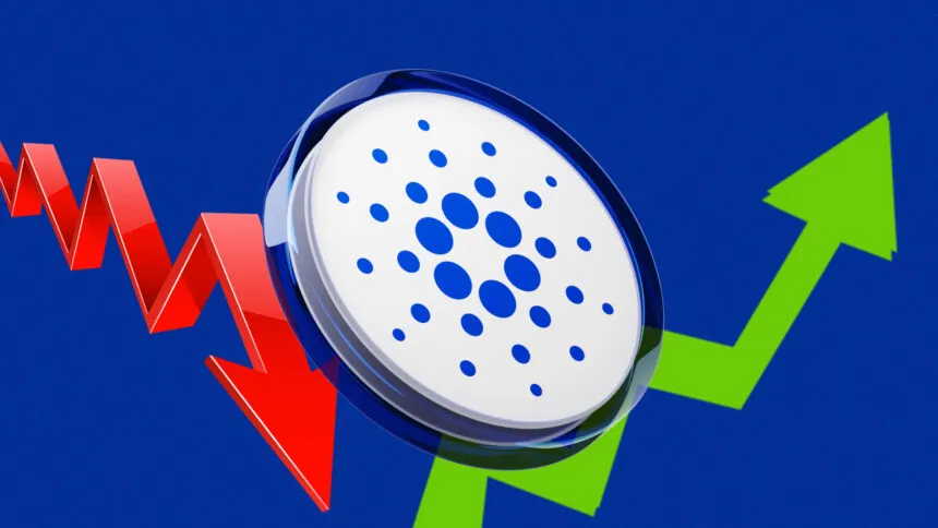 69112ab8 Bafa 4bba Be17 F07022964f2c