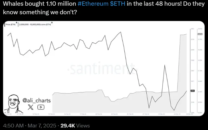 Whale Activity | Source: X
