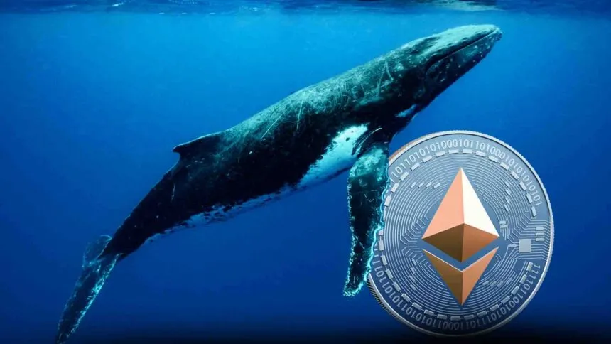 Db85a65a E6b9 43e5 B9b0 229ddcbc095c