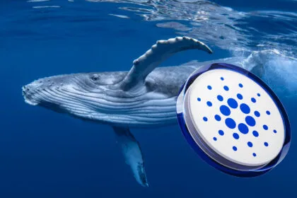 99c71dee C4a4 4805 B068 F653005f408a