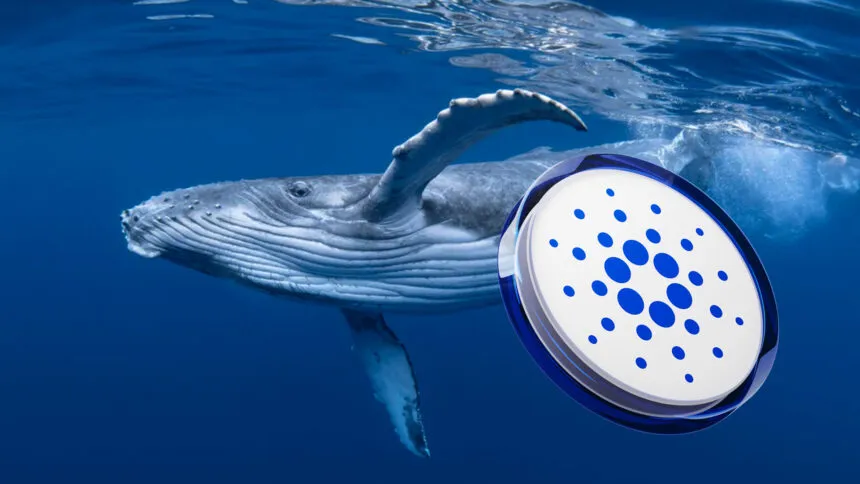 99c71dee C4a4 4805 B068 F653005f408a