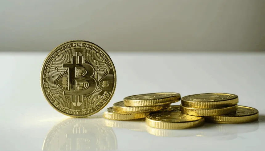 11EjI7nQ3HhqB6zlx0ZHsugYHF8Bu XZZ