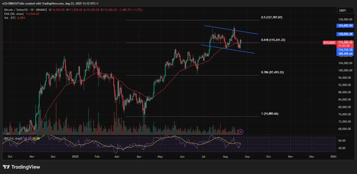 Bitcoin’s price outlook shows a possible comeback is inbound | Source: TradingView
