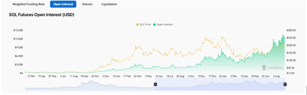 Solana’s open interest has been on the rise for months | Source: Coinglass