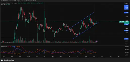 Cardano’s DMI shows strong buying pressure amid uptrend | Source: TradingView